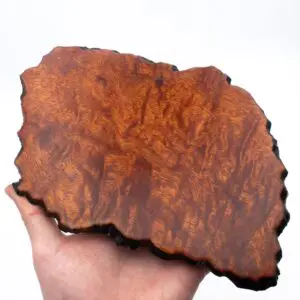 Fine Japanese Jiita Shikiita Display Board Stand For Bonsai Ikebana or Porcelain