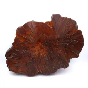 Large Japanese Jiita Shikiita Display Slab Stand For Bonsai Ikebana or Porcelain