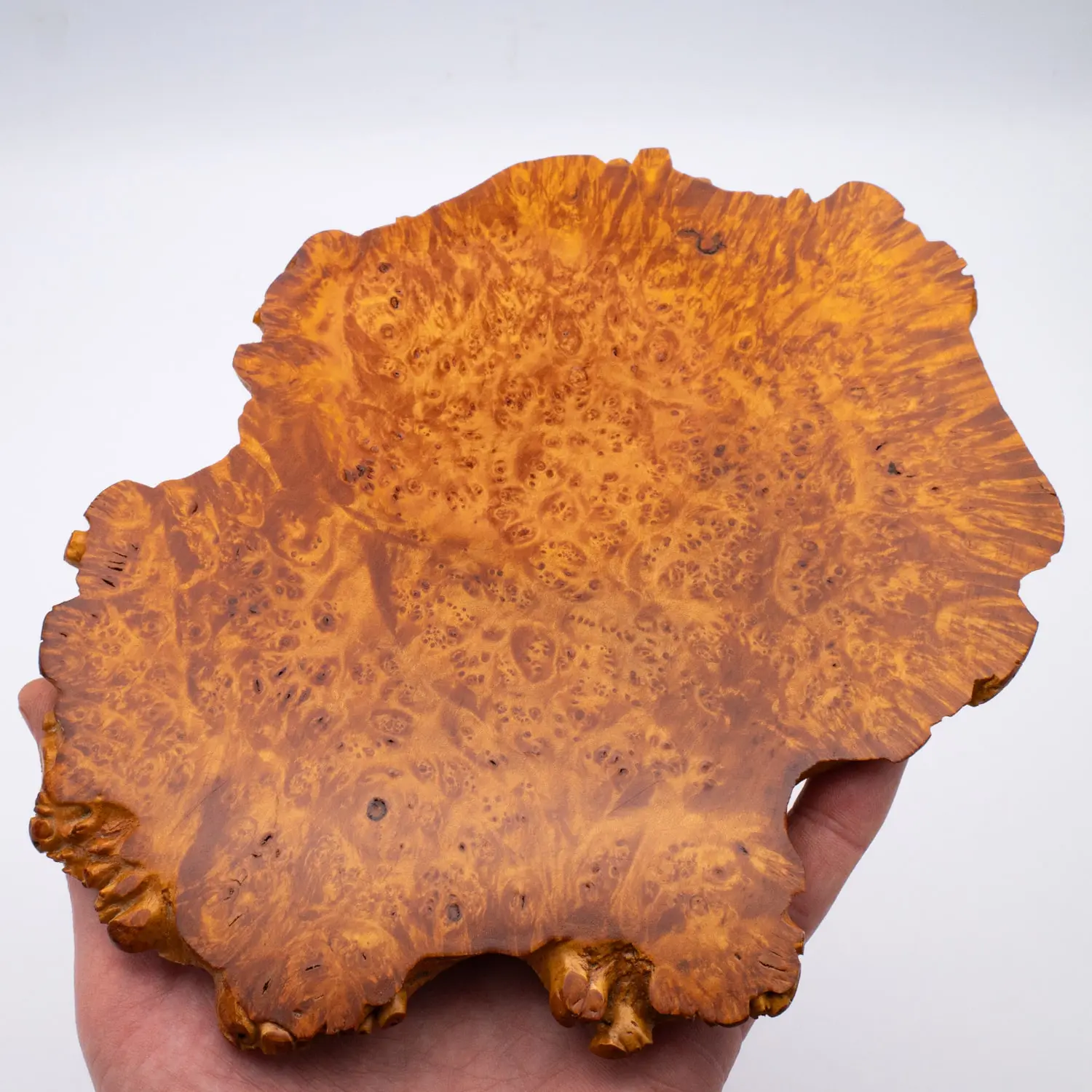 Fine Japanese Live Edge Burr Wood Jiita Shikiita Display Board 21x17 cm