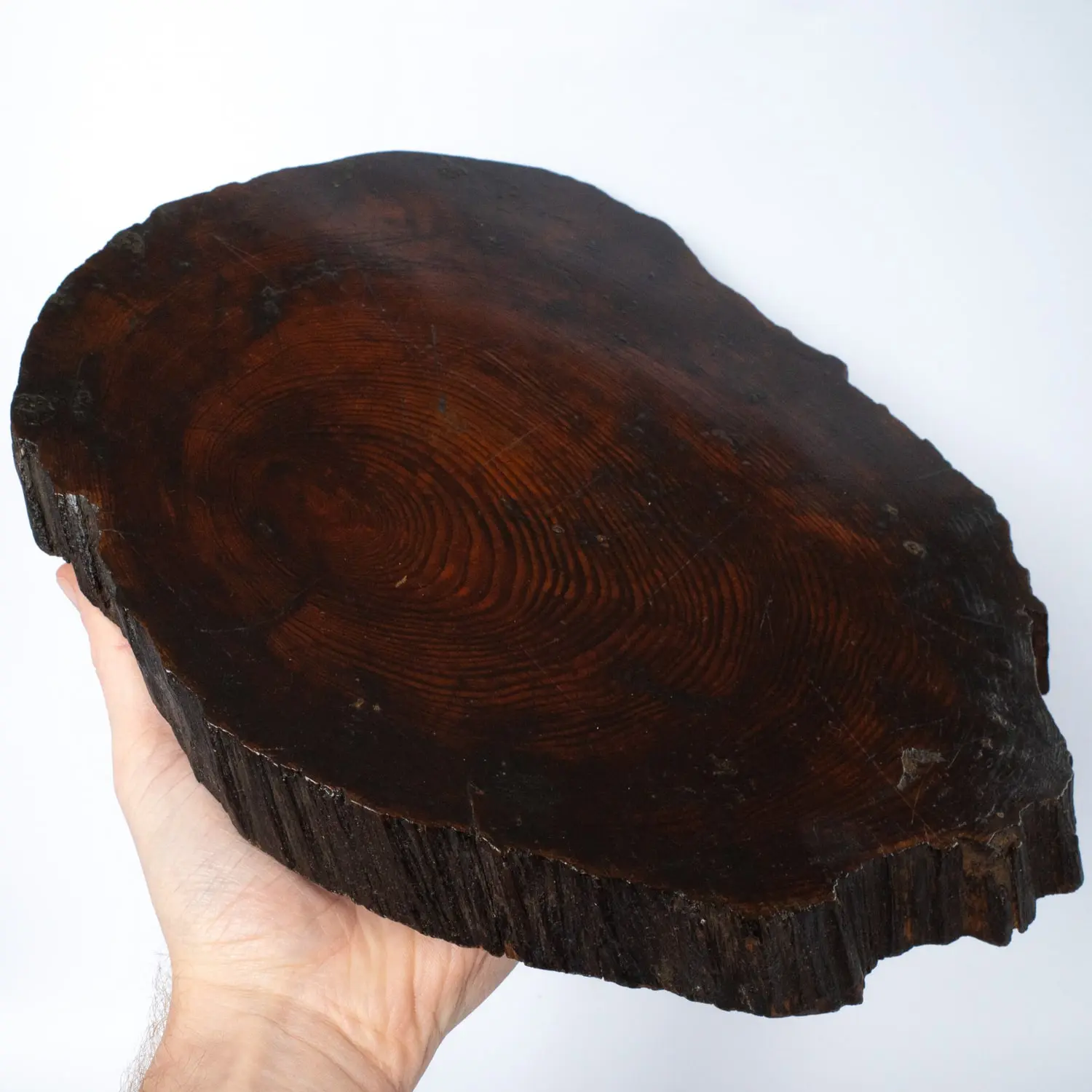 Large Japanese Live Edge Jiita Shikiita Display Slab Stand For Bonsai Ikebana 31x25 cm