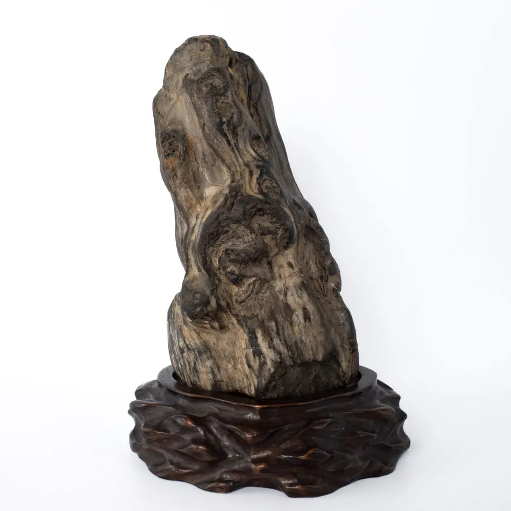 Antique Japanese Petrified Wood Suiseki on Wooden Stand or Chinese Viewing Stone