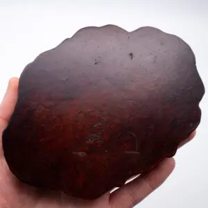 Fine Japanese Burr Wood Openwork Carved Jiita Shohin Bonsai Display Stand 15.5x11.5 cm