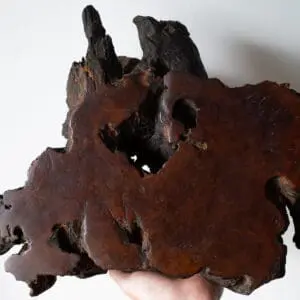 Japanese Jiita Shikiita Live Edge Wood Display Stand For Bonsai Shohin or Vase