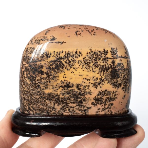 Fine Chinese Guohua Viewing Stone Dendritic Jasper Suiseki. Scholar's Object