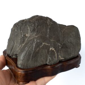 Fine Japanese Biseki Suiseki Mountain Cave Form Bonsai Viewing Stone on Stand