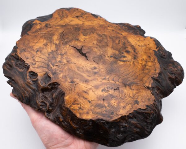 Fine Japanese Live Edge Burr Wood Jiita Shikiita Display Board 31x28 cm