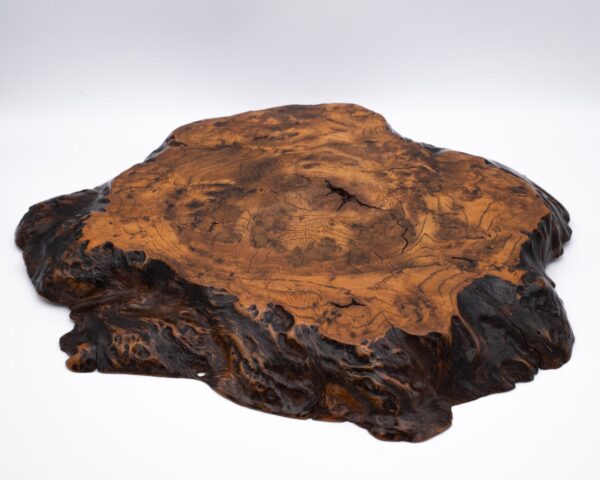 Fine Japanese Live Edge Burr Wood Jiita Shikiita Display Board 31x28 cm