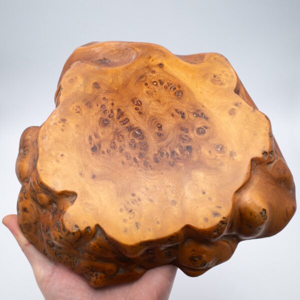 Fine Japanese Live Edge Burr Wood Jiita Shikiita Display Board 26x23 cm